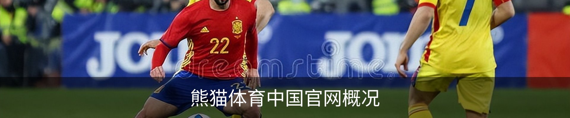 熊猫体育中国官网概况